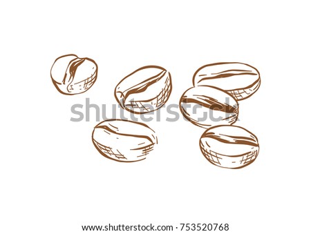 Painted Coffee Beans Sketch Vector Drawing Stock Vector 448812616 ...
