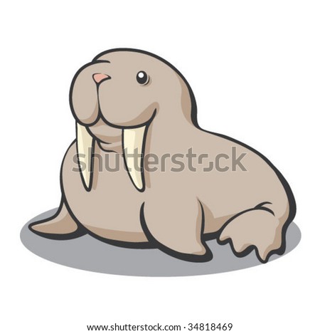 Walrus Teeth Stock Photos, Images, & Pictures | Shutterstock