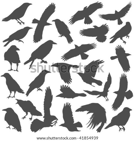 Crow silhouette Stock Photos, Images, & Pictures | Shutterstock