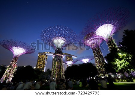 lights and music transform the iconic super trees every evening during the gardens by the bay - Garden By The Bay Music lights and music transform the iconic super trees every evening during the gardens by the bay - Garden By The Bay Music