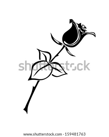 Illustration Black White Rose Thorns Stock Illustration 159481763 ...