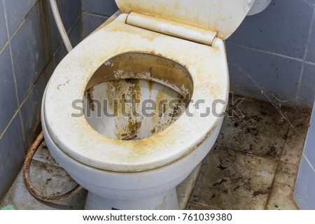 Грязному туалету - грязный секс