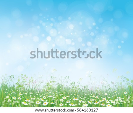 Vector summer nature background, blossoming flowers field on blue sky.