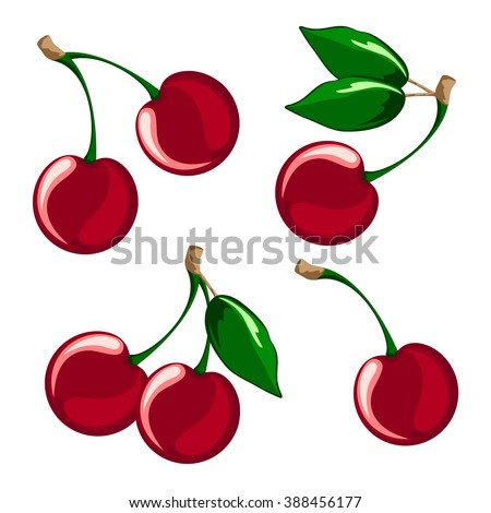 Vector illustration of ripe cherries on a white background. Berries with stems and green leaves.