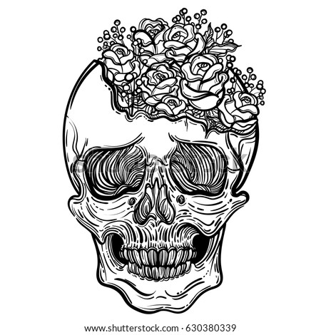 Vector Illustration Human Skull Beautiful Roses Stock Vector 630380339 ...