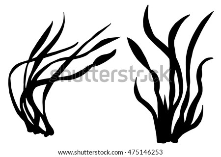 Pond Weed Stock Images, Royalty-Free Images & Vectors | Shutterstock