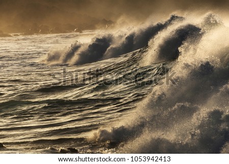 Giant Barrel Surf Hard Light Sunset Stock Photo Royalty