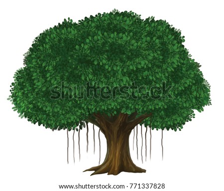 Banyan Tree Stock Images, Royalty-Free Images & Vectors | Shutterstock