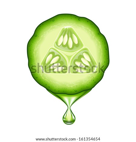 Fresh cucumber slice isolated on white background