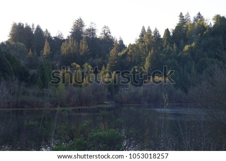 Minutes From The Russian River 93