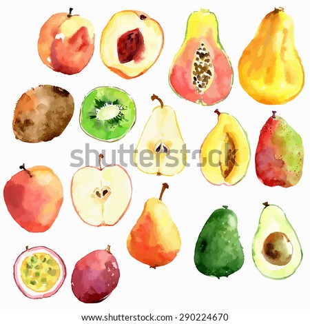 Bright vector watercolor fruits: apple, pear, peach, avocado, passion fruit, papaya, mango, kiwi
