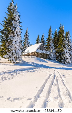 Ski track to wooden hut covered with fresh snow in winter scenery of Gorce Mountains, Poland