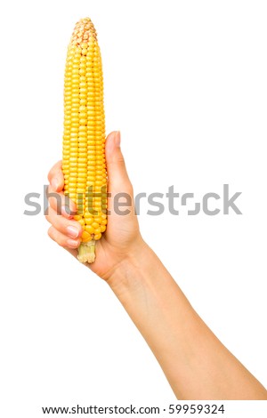 stock-photo-hand-holding-yellow-corn-599