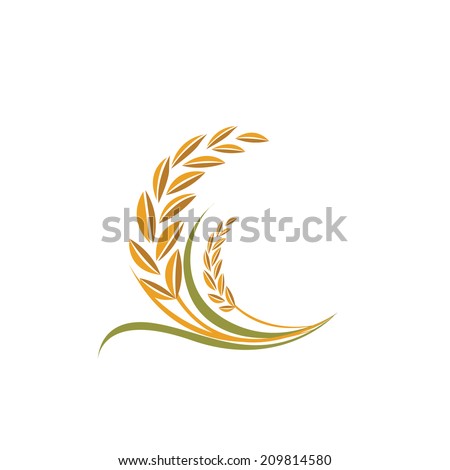 rice vector