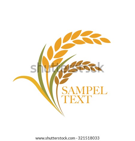 rice vector