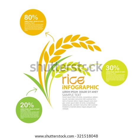rice vector