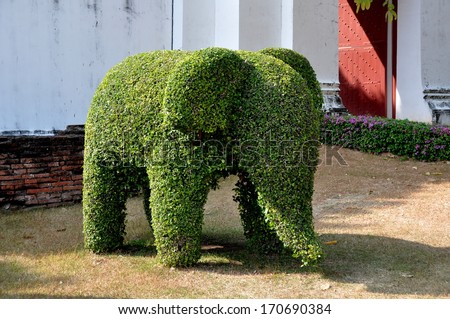 Topiary Stock Photos, Royalty-Free Images & Vectors - Shutterstock