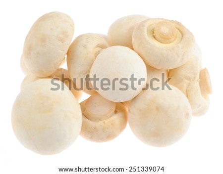 Fresh edible Mushroom Champignon over white background