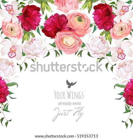 Ranunculus Stock Images, Royalty-Free Images & Vectors ...