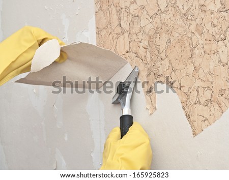 Wall Paper Remover removing wallpaper stock images, royalty-free images & vectors Wall Paper Remover removing wallpaper stock images, royalty-free images & vectors