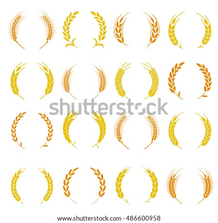 Wheat ear symbols for logo design. Agriculture grain, organic plant, bread food. Design elements for bread packaging or beer label. Set of silhouette circular laurel foliate and wheat wreaths.