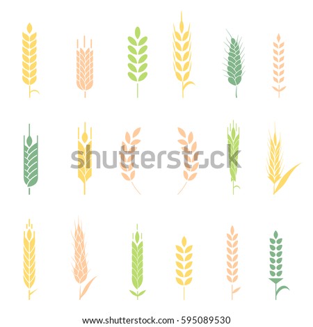 Cereals icon set with rice, wheat, corn, oats, rye, barley. Concept for organic products label, harvest and farming, grain, bakery, healthy food.