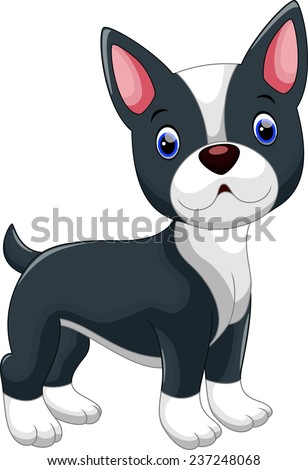 Boston Terrier Drawing Stock Images, Royalty-Free Images & Vectors