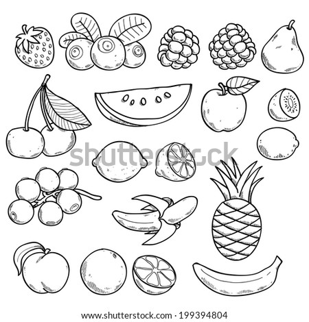 Black and white fruits and berries in hand drawn sketch style. - stock ...