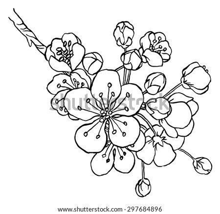 Hand Drawing Apple Tree Branch Blossom Stock Vector 297684896 ...