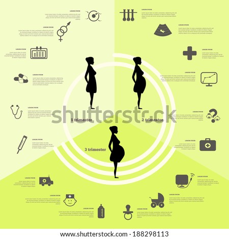 Pregnancy and birth infographics and pregnancy stages. Icon vector set.