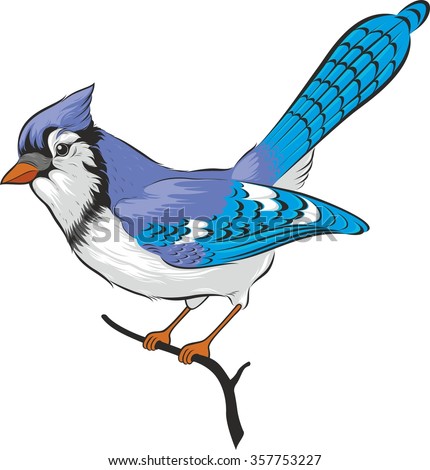 Clip Art Blue Jay Clipart blue jay bird stock photos royalty free images vectors vector isolated on white background