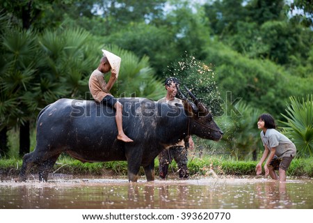 Smiling Buffalo Stock Images, Royalty-Free Images & Vectors | Shutterstock