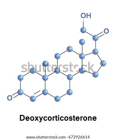 Mineralocorticoid steroid hormone aldosterone
