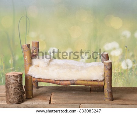 A newborn bed studio digital prop made from Japanese Maple tree branches with a dandelion green meadow nature background.