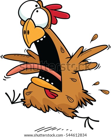 Crazy Chicken Stock Images, Royalty-Free Images & Vectors | Shutterstock