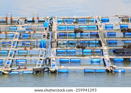 Float fishing village, Long Son, Long Hai, Ba Ria- Vung Tau Vietnam. People living and doing feed fish industry at floating village.