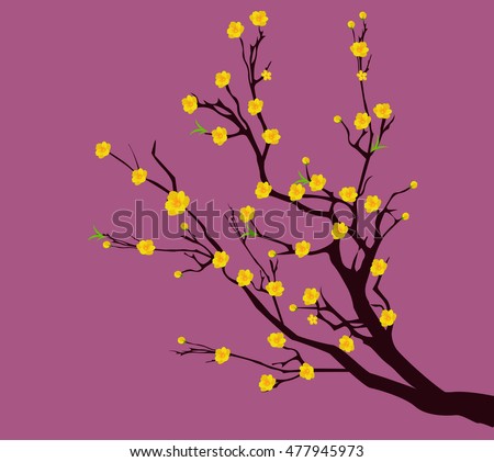 Yellow Apricot Flower, traditional lunar new year in Vietnam