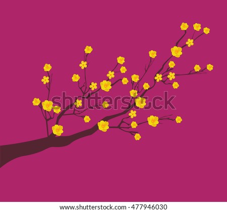 Yellow Apricot Flower, traditional lunar new year in Vietnam