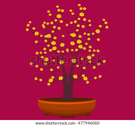Yellow Apricot Flower, traditional lunar new year in Vietnam