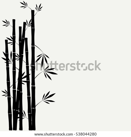 bamboo stems with leaves on white background