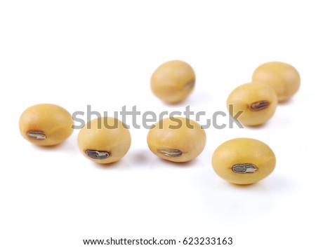 Soy beans isolated on white background.