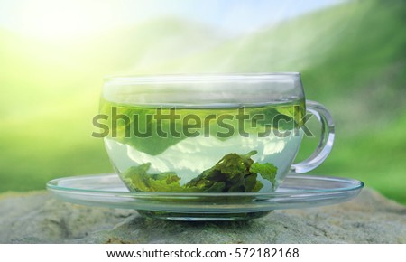 Green tea time. Green tea leaves at the bottom of the cup. Hot tea. Green tea on a background of mountains.