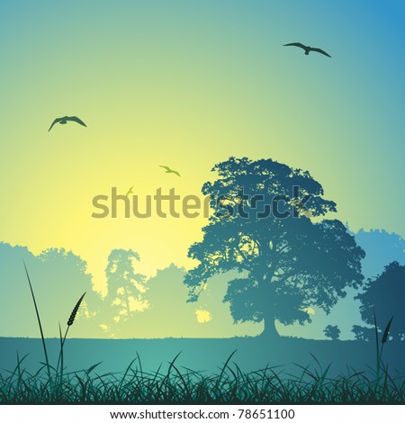 A Country Meadow Landscape with Trees and Birds