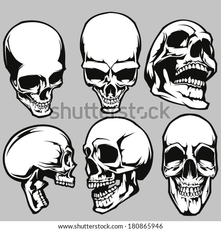 Skull Set Stock Vector 180865946 - Shutterstock