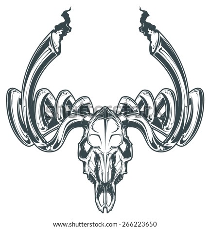 Deer Skull Stock Images, Royalty-Free Images & Vectors | Shutterstock