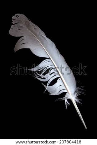 one vector piece logo Glass Photo Feather Crystal Quill 72901099 Stock White Pen