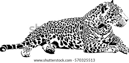 Black Jaguar Stock Images, Royalty-Free Images & Vectors | Shutterstock