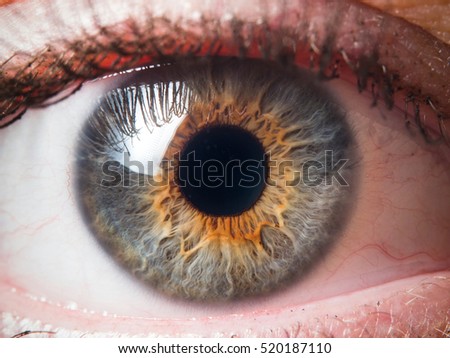 Iris Stock Images, Royalty-Free Images & Vectors | Shutterstock