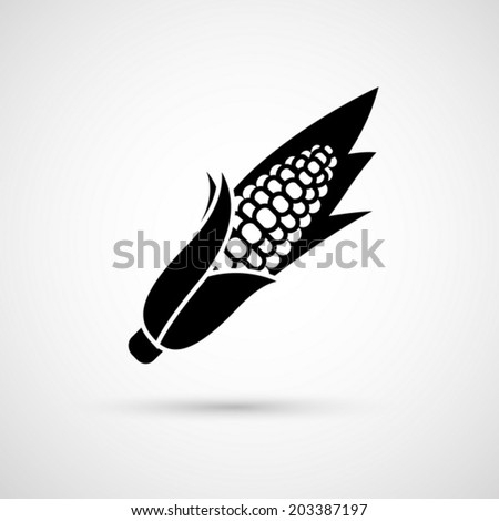 corn vector illustration