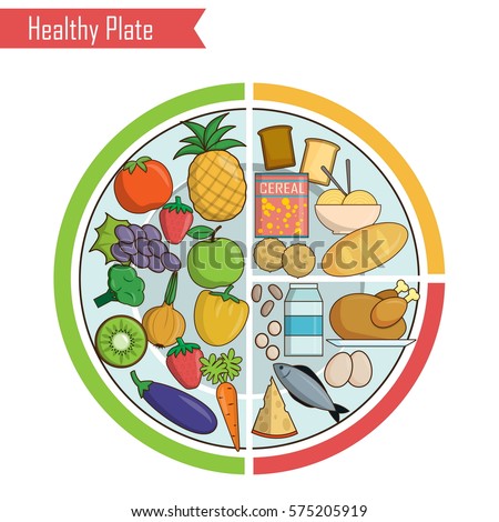 Infographic Chart Illustration Healthy Plate Nutrition Stock Vector ...